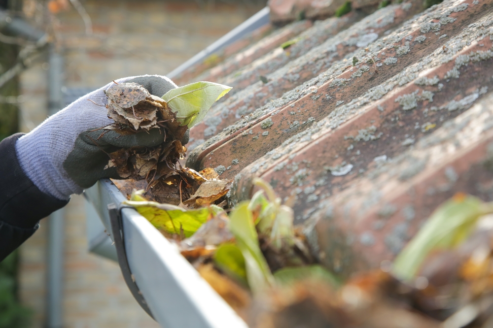 Cleaning,the,gutter,from,autumn,leaves,before,winter,season.,roof