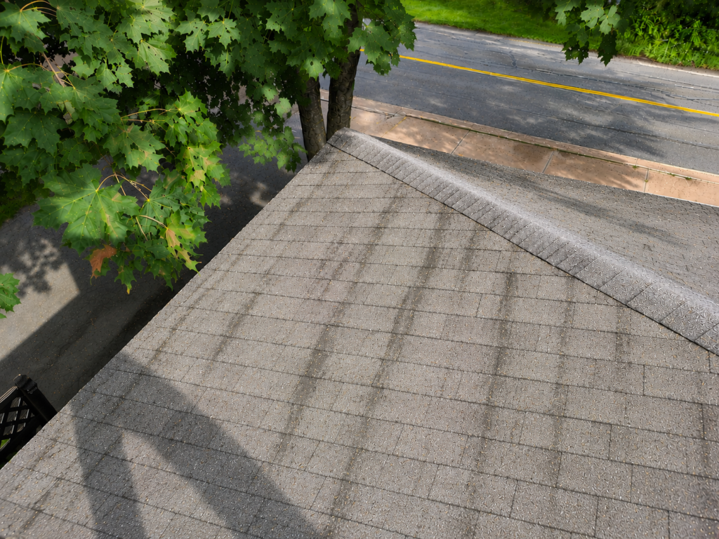 Topper Roofing algae on roof