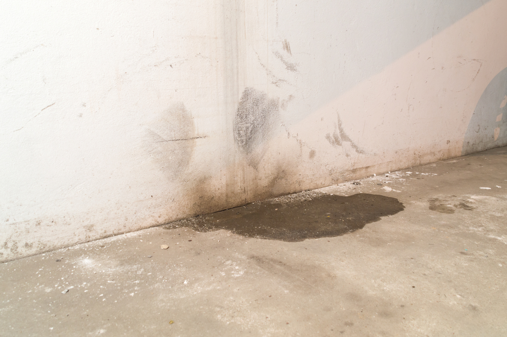Water damage in basement