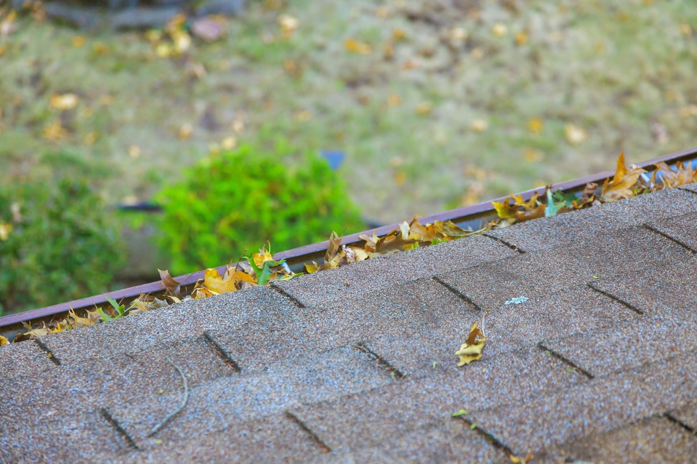 Leaves,Rest,On,Rooftop,Gutters,While,Trees,Lose,Their,Foliage
