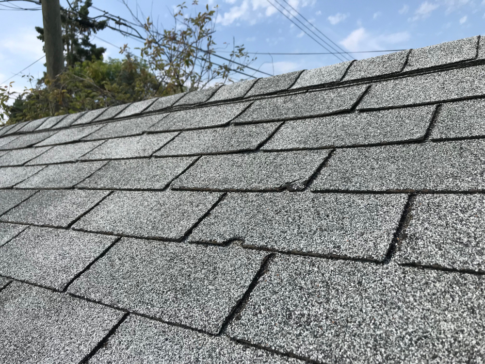 Roof,Showing,Hail,Damage,Inspection